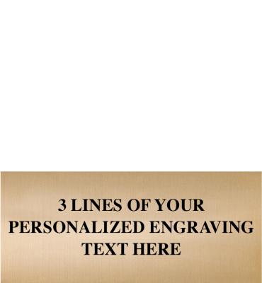2.125"W x .9"H Gold Flexi Perpetual Plate