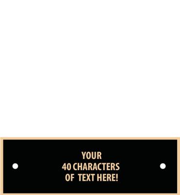 Black Metal Engrave Plate With Gold Trim 1" X 3.25"