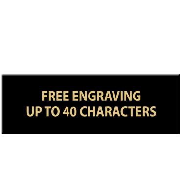 1" x 3" Black Flexi Perpetual Plate For Plaques