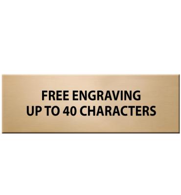 1" x 3" Gold Flexi Perpetual Plate For Plaques