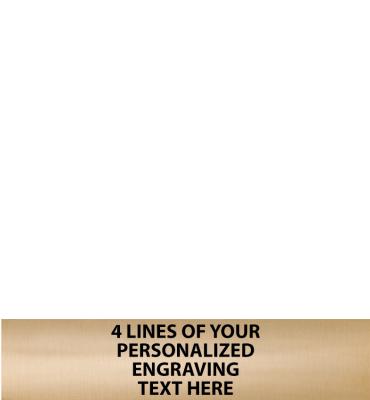 4.5"W x 1"H Gold Flexi Plate