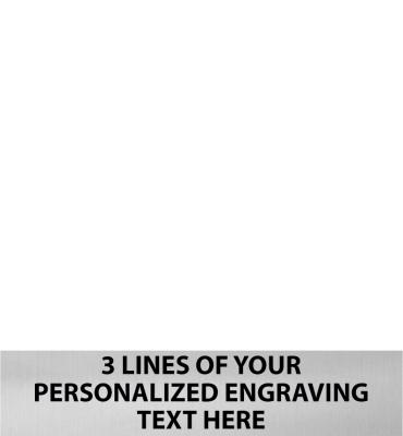 3.75 W x 0.8 H Silver Perpetual Plate