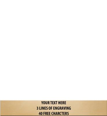 6"W x 0.87"H Gold Flexi Plate For Eminent Wood Award