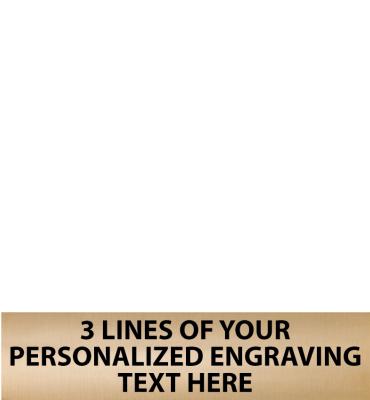 2.63"W x .63"H Gold Flexi Plate