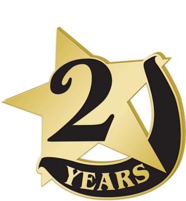 2 Years Recognition Pin
