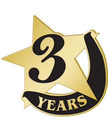 3 Years Recognition Pin