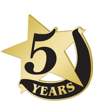 5 Years Recognition Pin