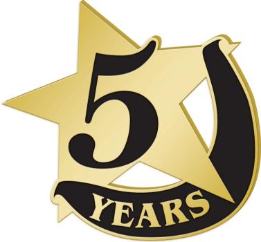 Recognition Pins 5 Years Recognition Pin