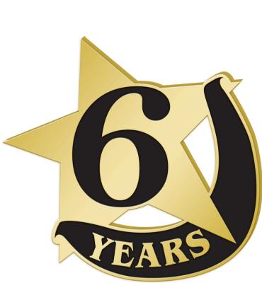 6 Years Recognition Pin