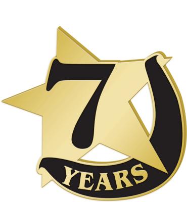 7 Years Recognition Pin