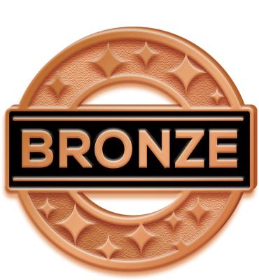Bronze Achievement Pin