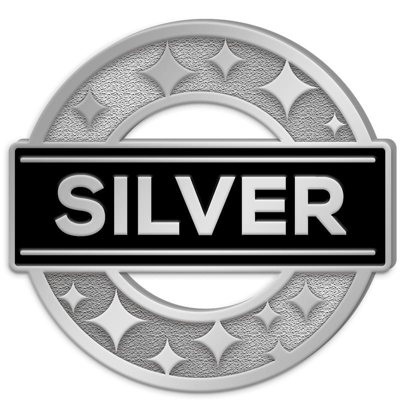 1.25"Wx1.25"H SLVR ACHVMNT PIN