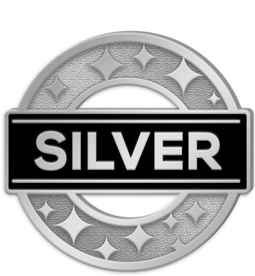 Silver Achievement Pin