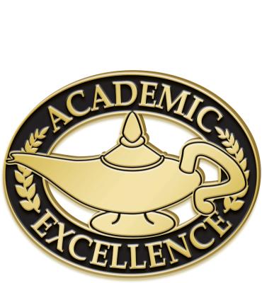 Academic Excellence Recognition Pin