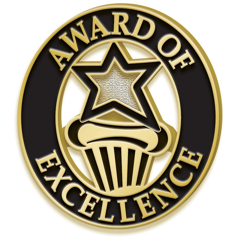 1"Wx1"H AWARD OF EXCELLNCE PIN