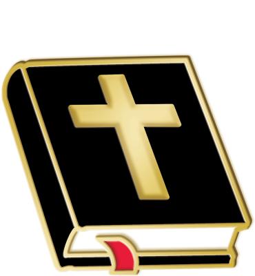 Bible Pin