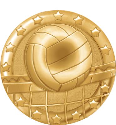 Blaze Volleyball Pin