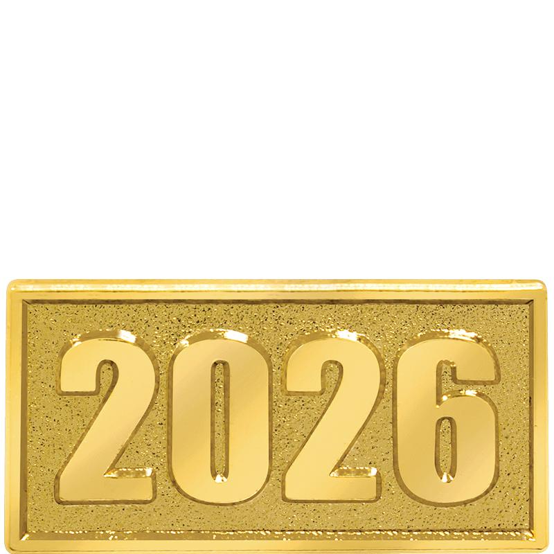 1"Wx.5"H 2026 CHENILLE PIN