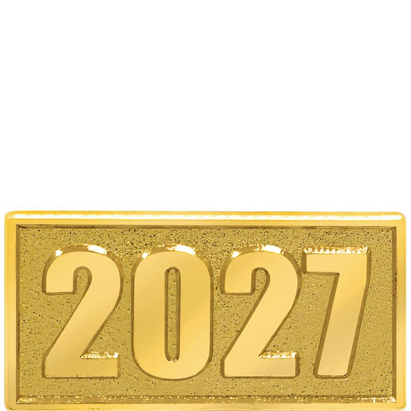 1"Wx.5"H 2027 CHENILLE PIN