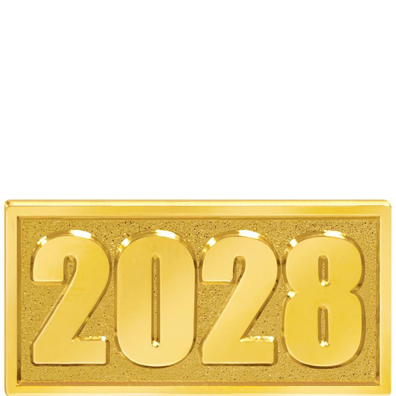 1"W X .5"H 2028 CHENILLE PIN