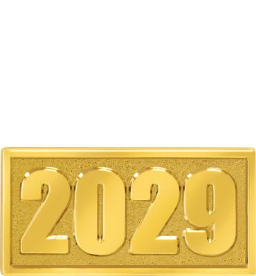 2029 Pin