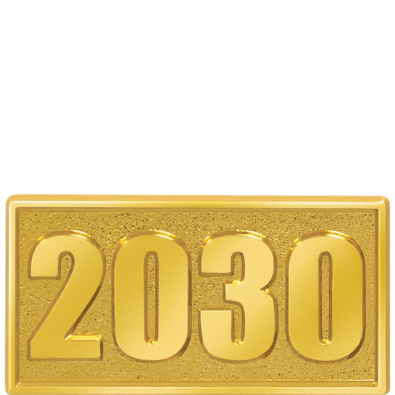 1"W X .5"H 2030 CHENILLE PIN