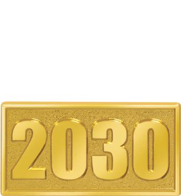 2030 Pin