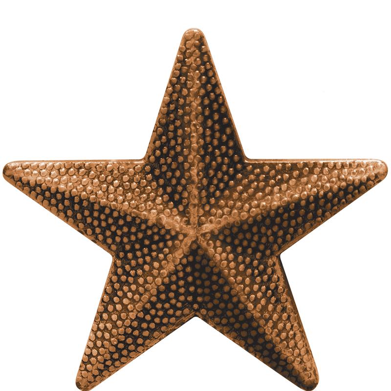 1"CHENILLE STAR PIN ANTQ BRONZ