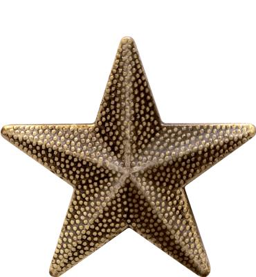 Antiqued Gold Star Pin