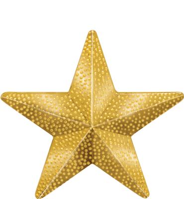 Gold Star Pin
