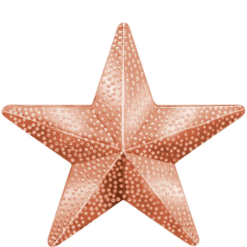 1"Wx1"H CHENILLE PIN-STAR BRNZ