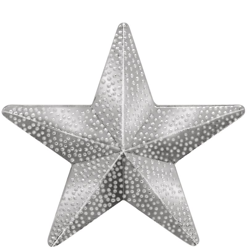 1"Wx1"H CHENILLE PIN-STAR SLVR