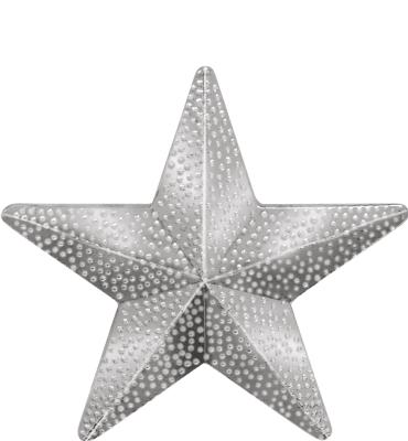 Silver Star Pin