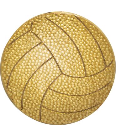 Volleyball Pin