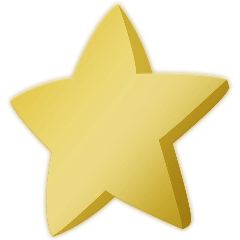 1"Wx1"H DECO STAR RECOGN PIN