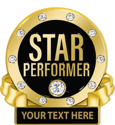 Star Performer Engravable Pin