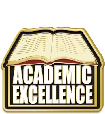 Academic Excellence Pin