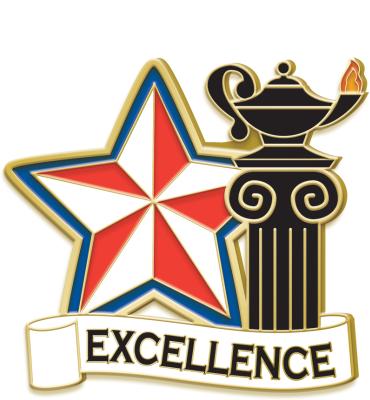 Excellence Pin