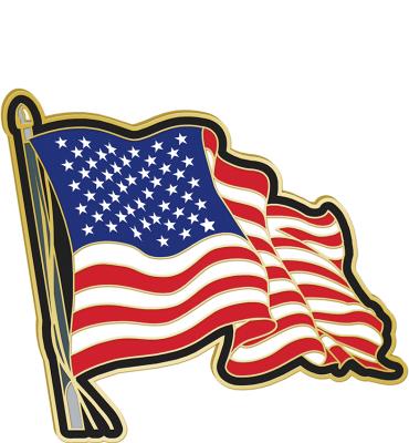 Waving Flag Pin