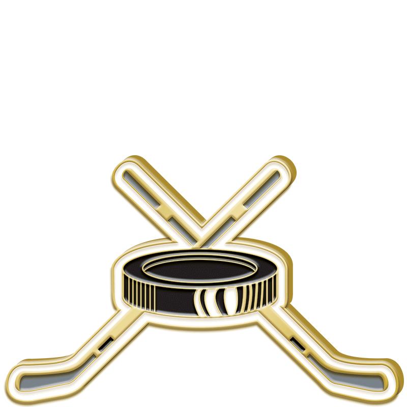 1.25"Wx.75"H ENAMEL PIN-HOCKEY