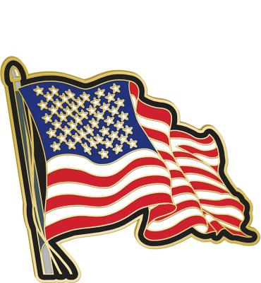 American Flag Pin