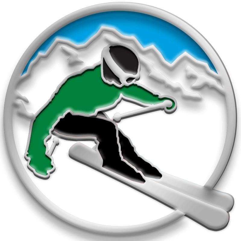 1"Wx1"H PIN - SKIING