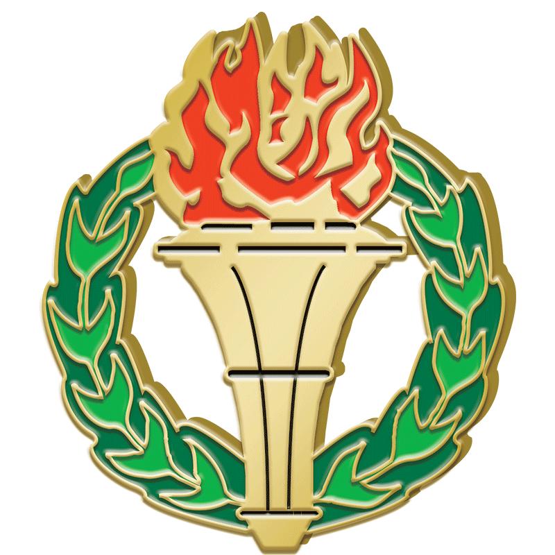 1.25"Wx1.25"H ENAMEL PIN-TORCH