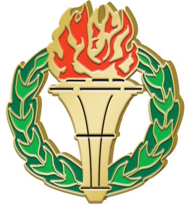 Torch Pin