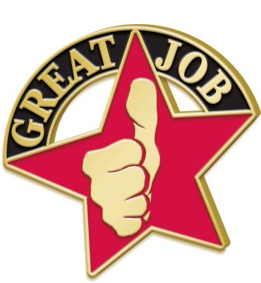 Great Job Recognition Pin