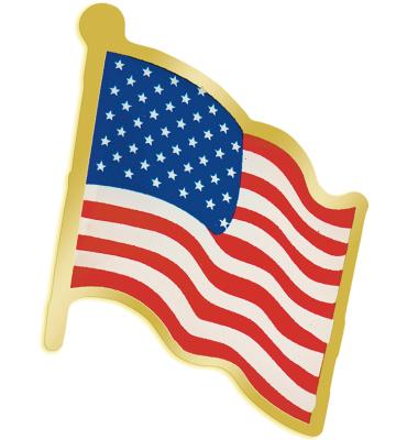 Gold Flag Pin