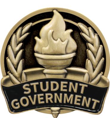 Scholastic Achievement Student Government Pin