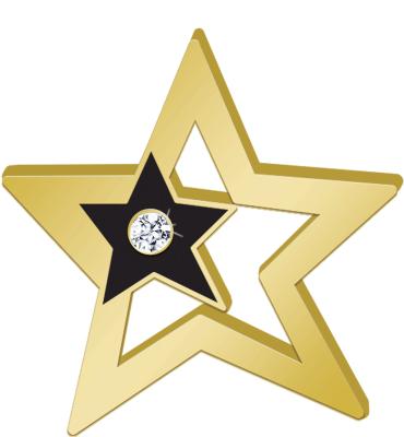 Onyx Twinkle Recognition Pin