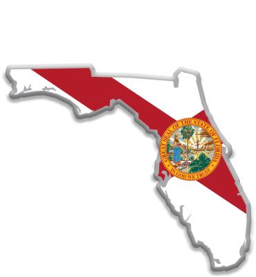 Florida State Flag Pin