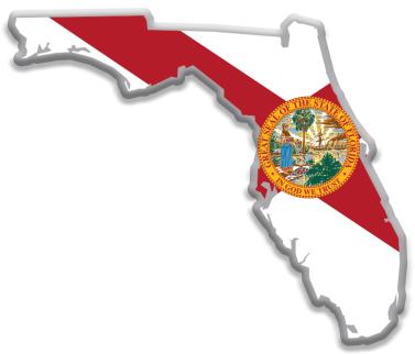 State Flag Pins Florida State Flag Pin